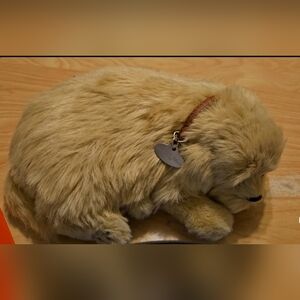 Perfect Petzzz Sleeping Tan Lab Puppy Add Battery Watch It Breath